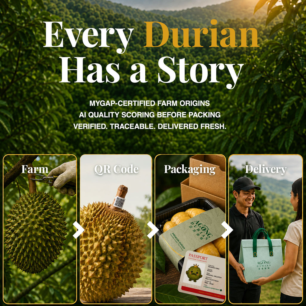 Agong Durian Musang King 400g — Fresh Dehusked Flesh