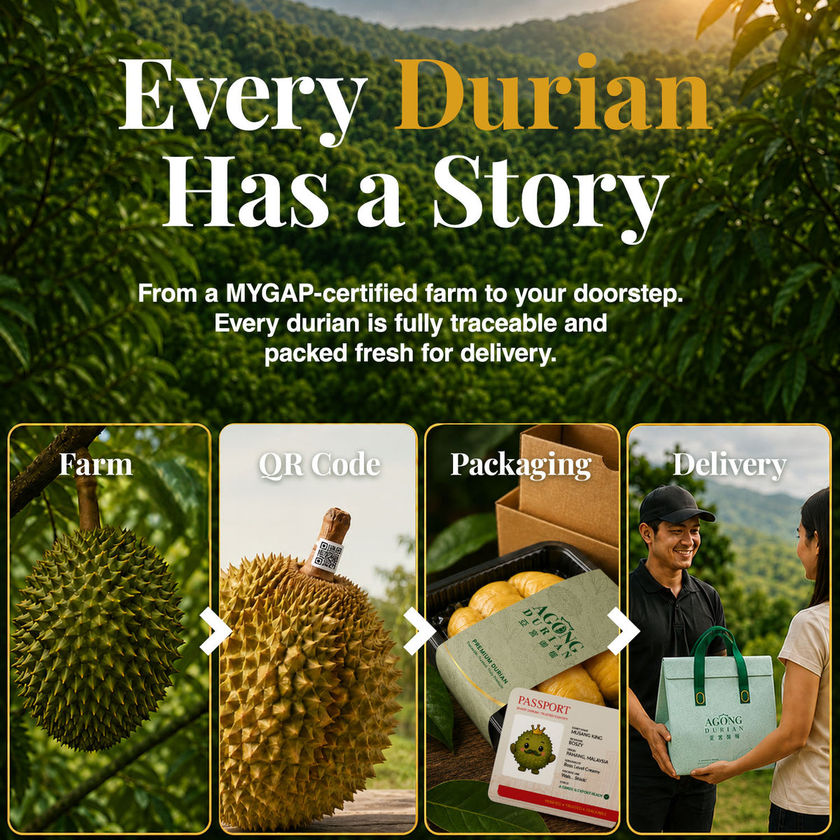 AGONG Durian Musang King 400g — Fresh Dehusked Flesh