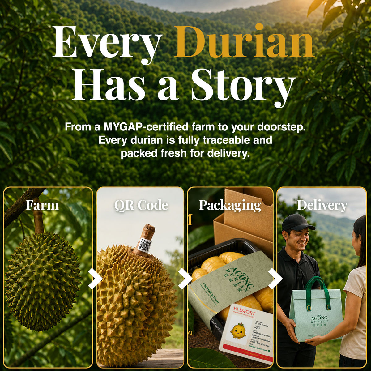 AGONG Durian Black Thorn 400g — Fresh Dehusked Flesh